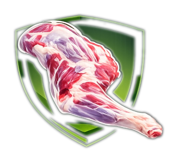logo_transparent.png